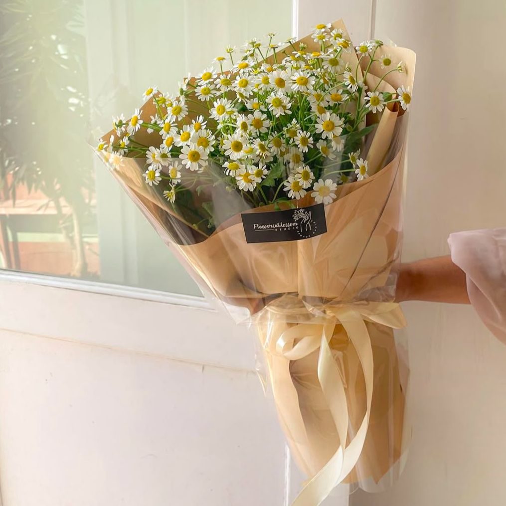 Chamomile view 2