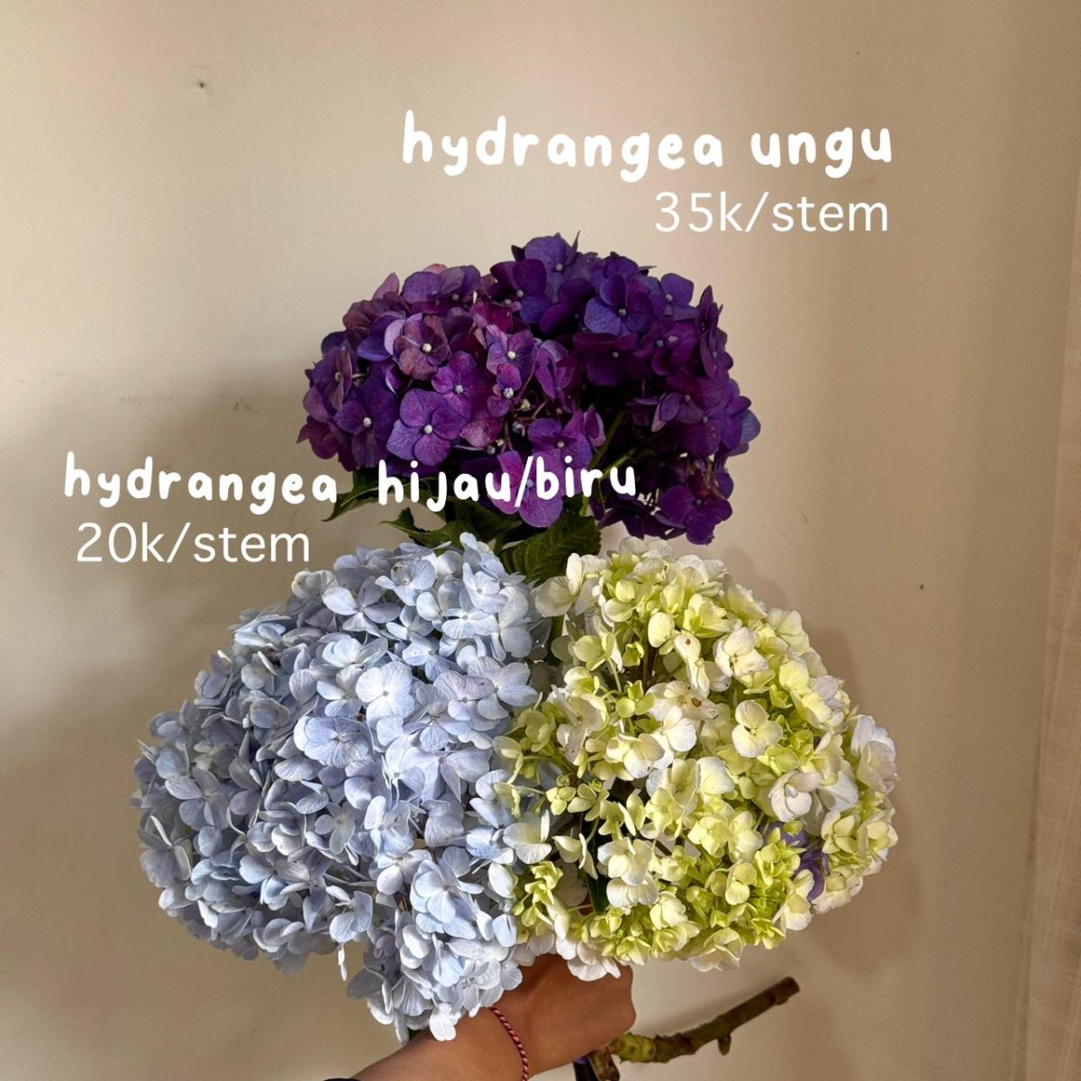 Cut Flowers view 3