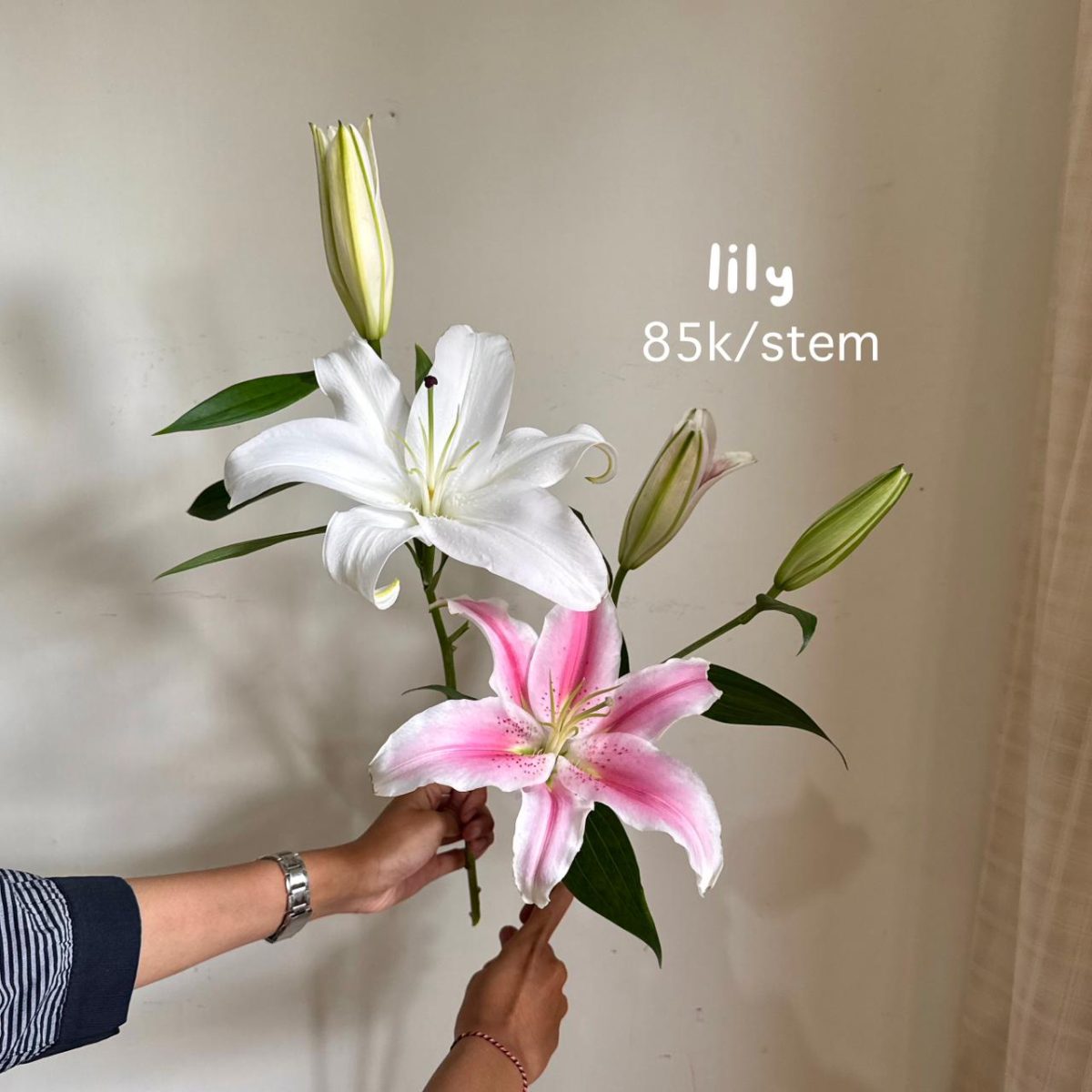 Cut Flowers view 4