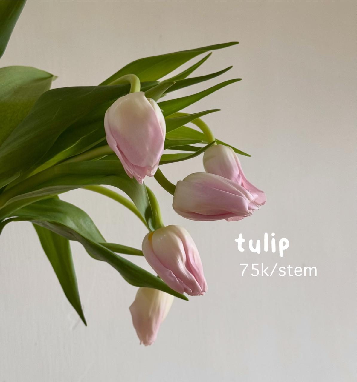 Cut Flowers view 10