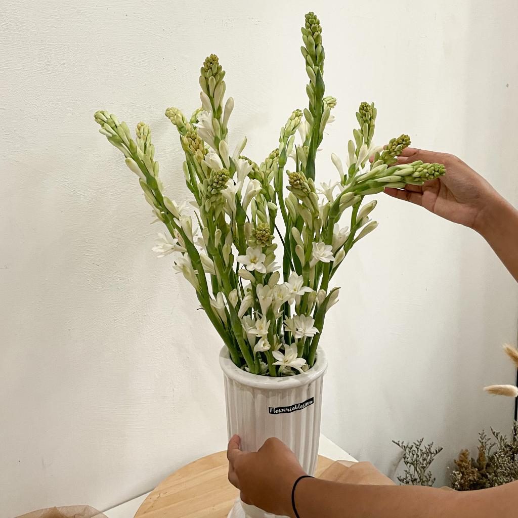 Tuberose view 2