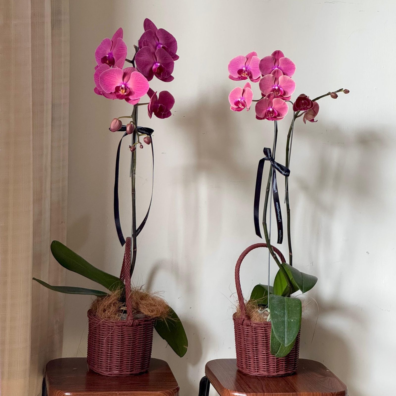Orchid  (keranjang coklat) bouquet