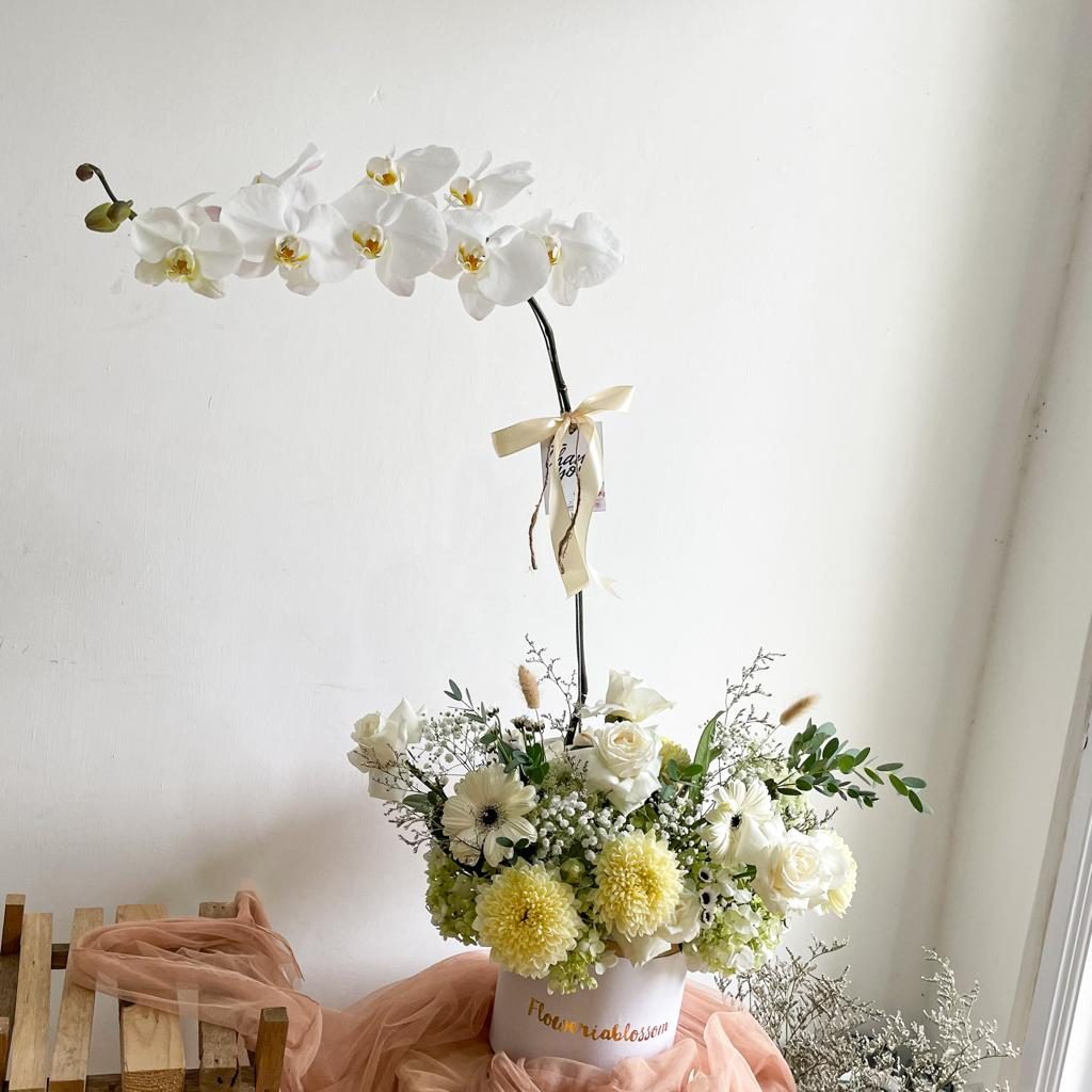 Orchid Plant with Fresh Flower Arrangement bouquet